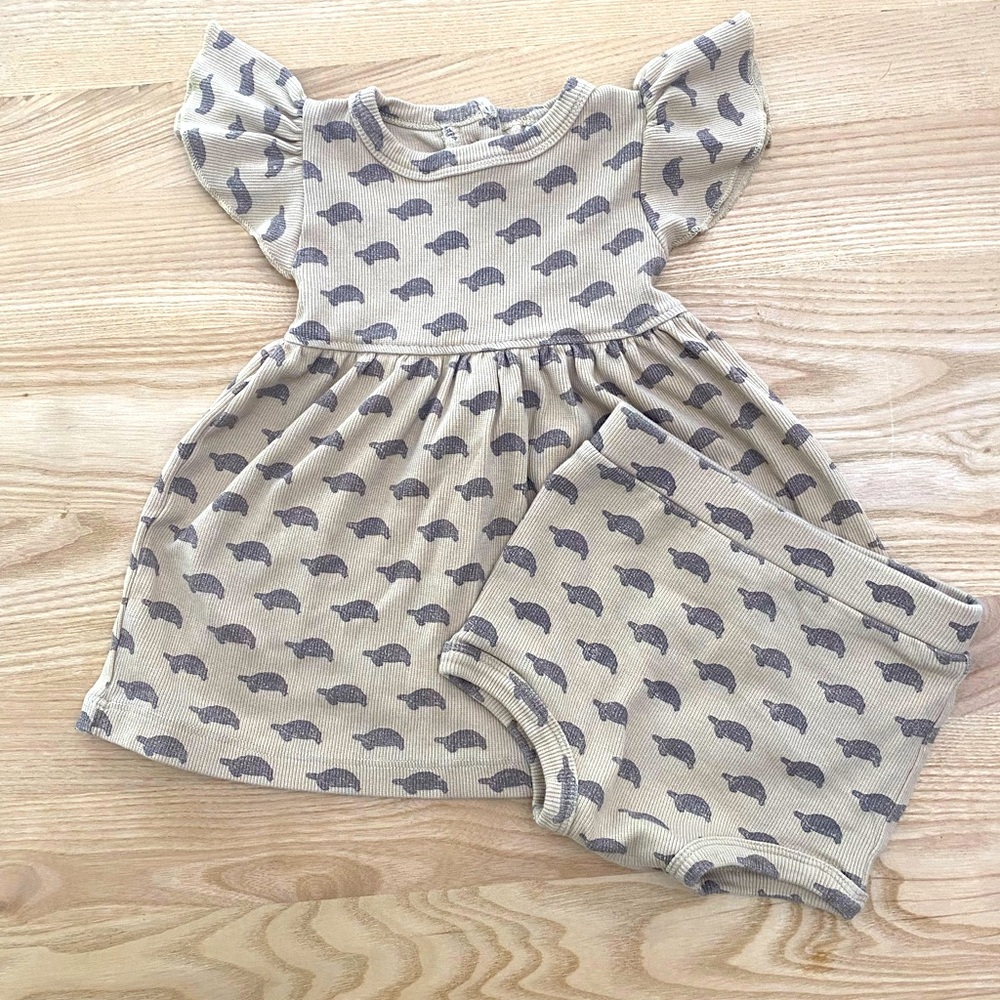 KQ flutter sleeve turtle dress with bloomers